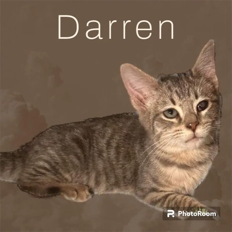 Darren thumbnail 2