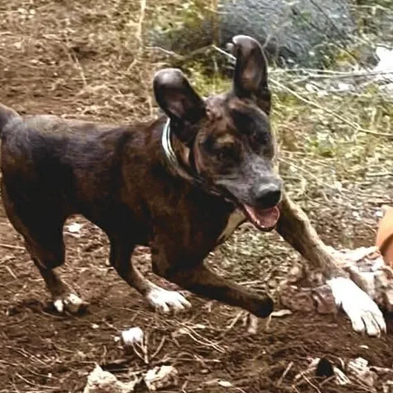 Marlene Oh thumbnail 2