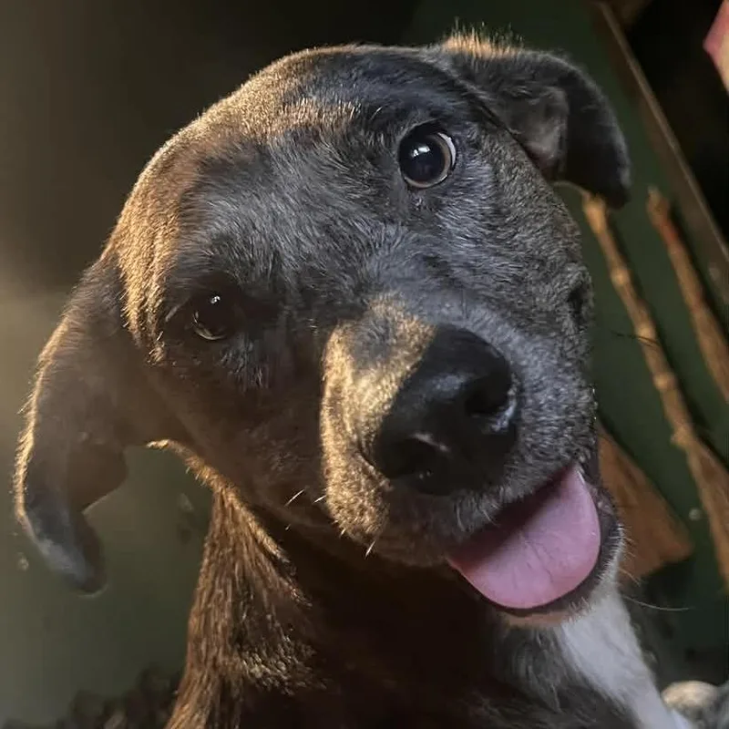 Marlene Oh thumbnail 3