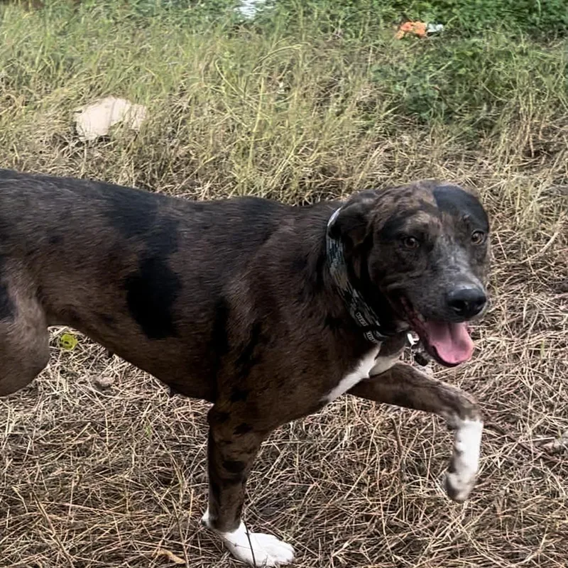 Marlene Oh thumbnail 4