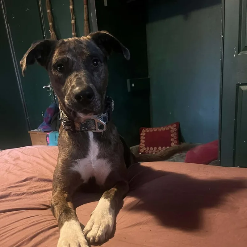 Marlene Oh thumbnail 5