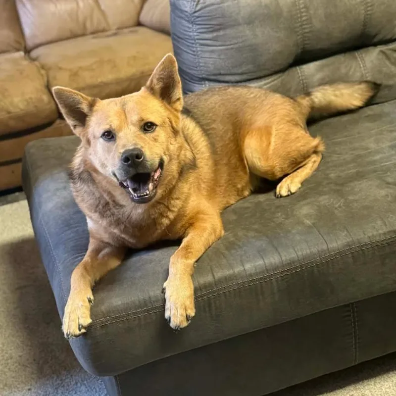 Dakota
