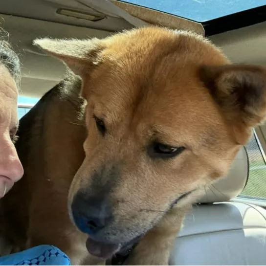 Dakota thumbnail 2