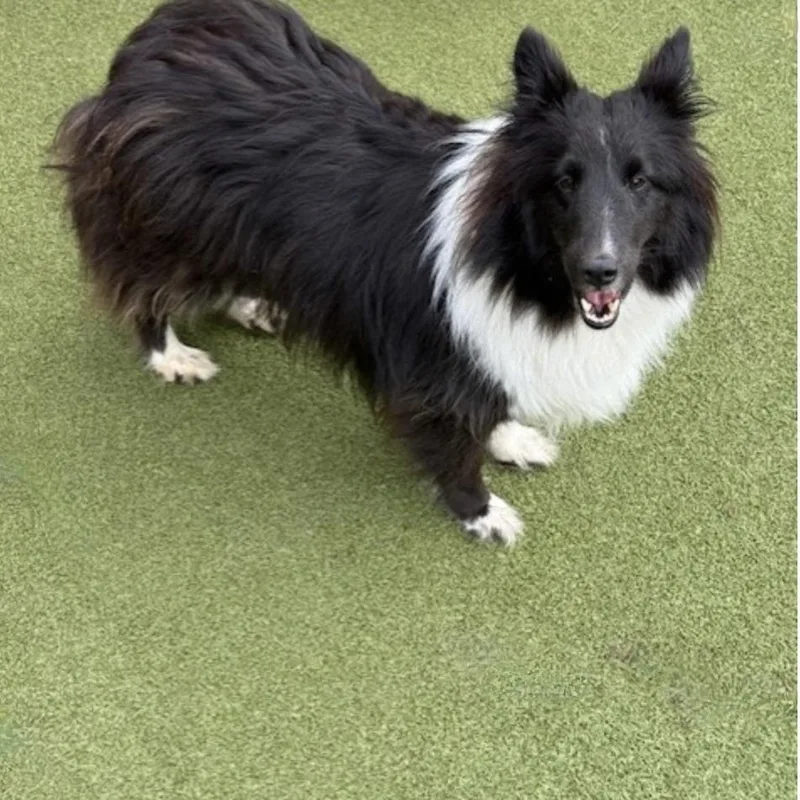 Chase And Willow thumbnail 4