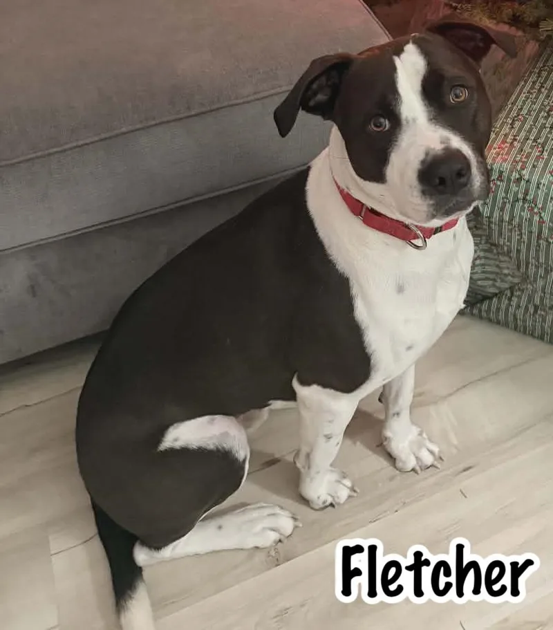 Fletcher thumbnail 5