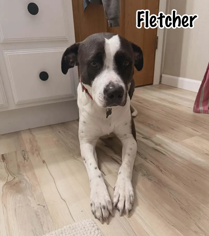 Fletcher