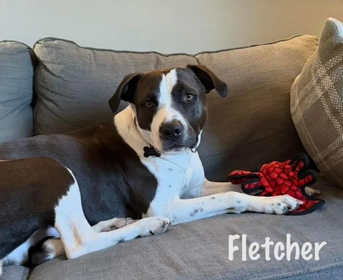 Fletcher thumbnail 6