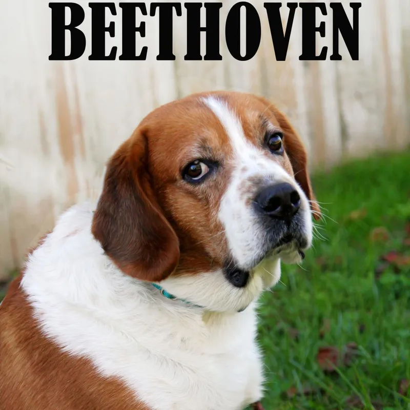 Beethoven thumbnail 2