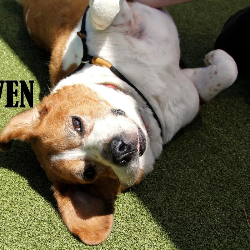 Beethoven thumbnail 3