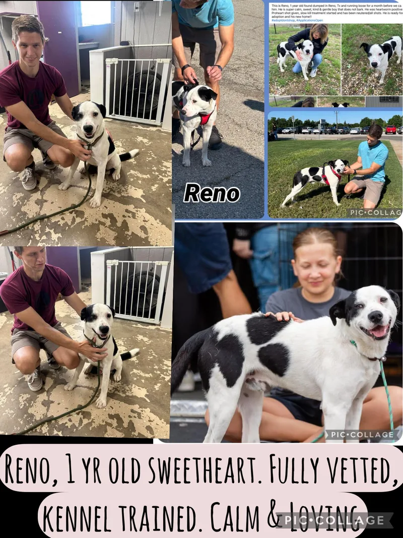 Reno