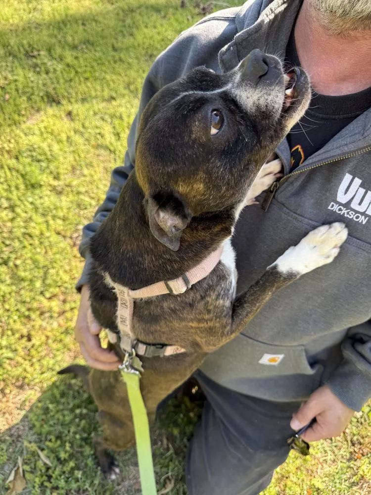 Barbie Anne Erin  thumbnail 2