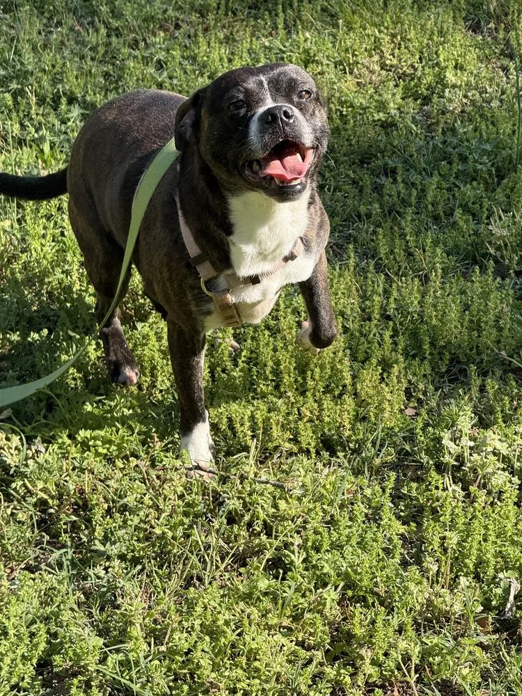 Barbie Anne Erin  thumbnail 3