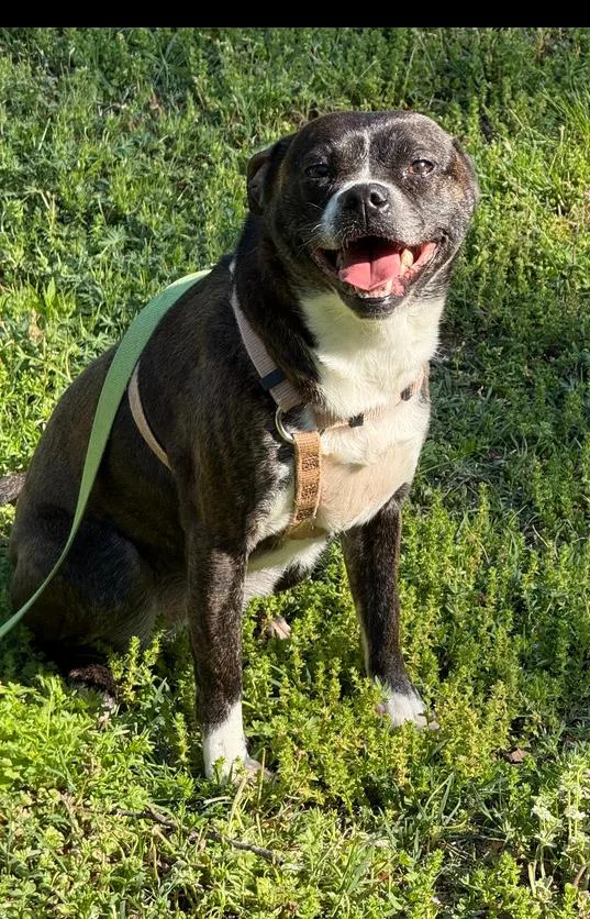 Barbie Anne Erin  thumbnail 4