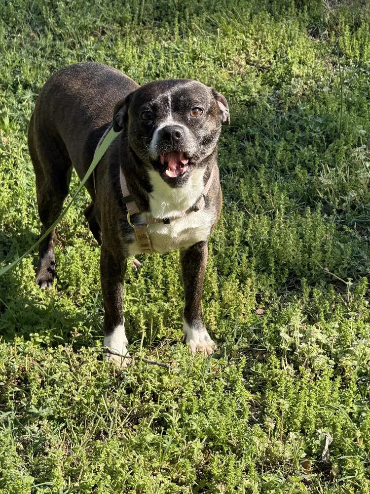 Barbie Anne Erin  thumbnail 5