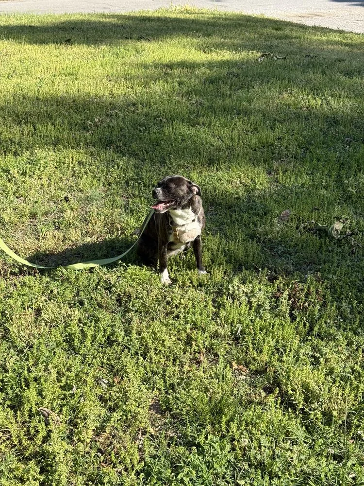 Barbie Anne Erin  thumbnail 6