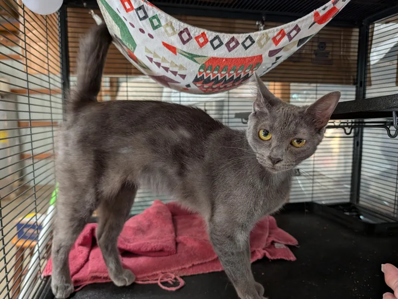 Pretty Girl thumbnail 2