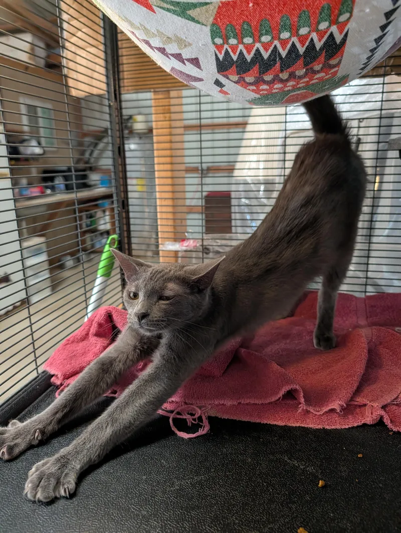 Pretty Girl thumbnail 3