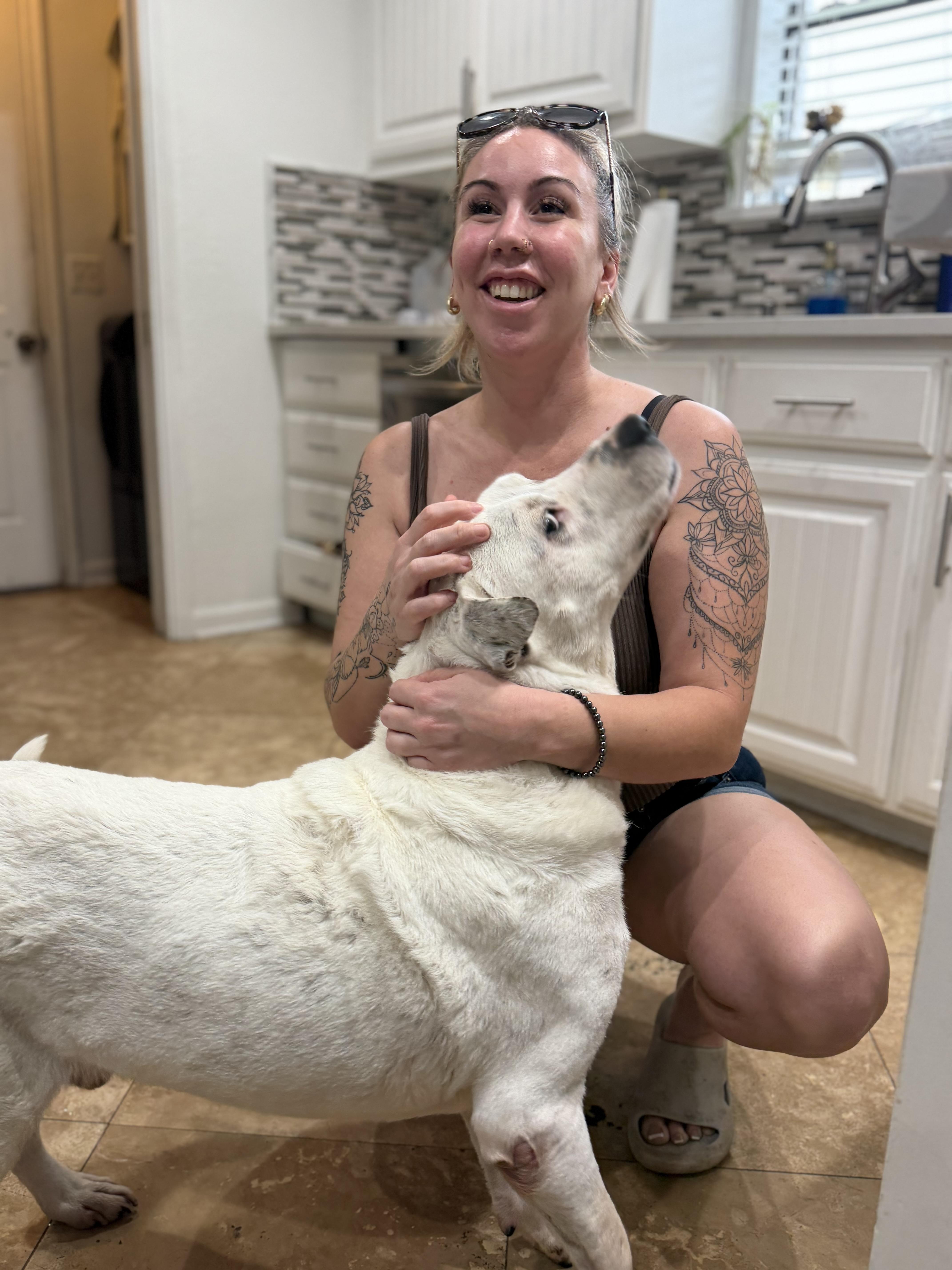 An adult large-sized male White / Cream Mixed Breed dog named Brian for adoption in Carrollton, TX