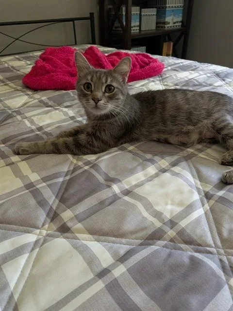 Millie
