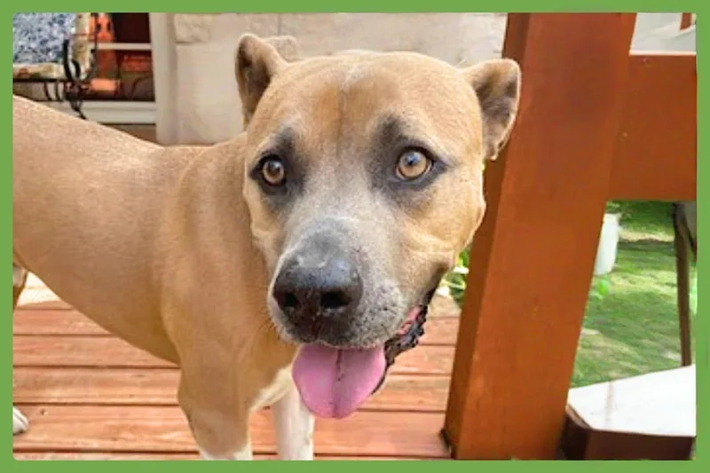 Murphy thumbnail 2