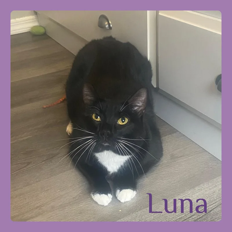 Luna