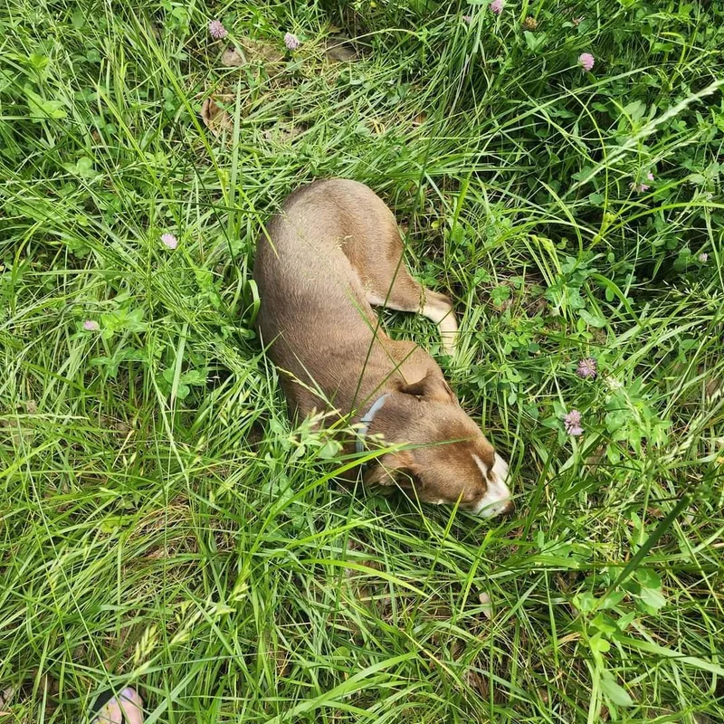 Bobby – A Survivor thumbnail 2