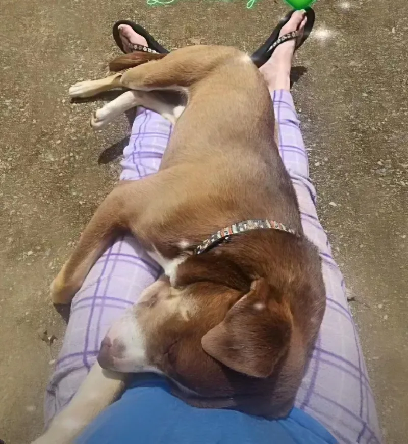 Bobby – A Survivor thumbnail 3