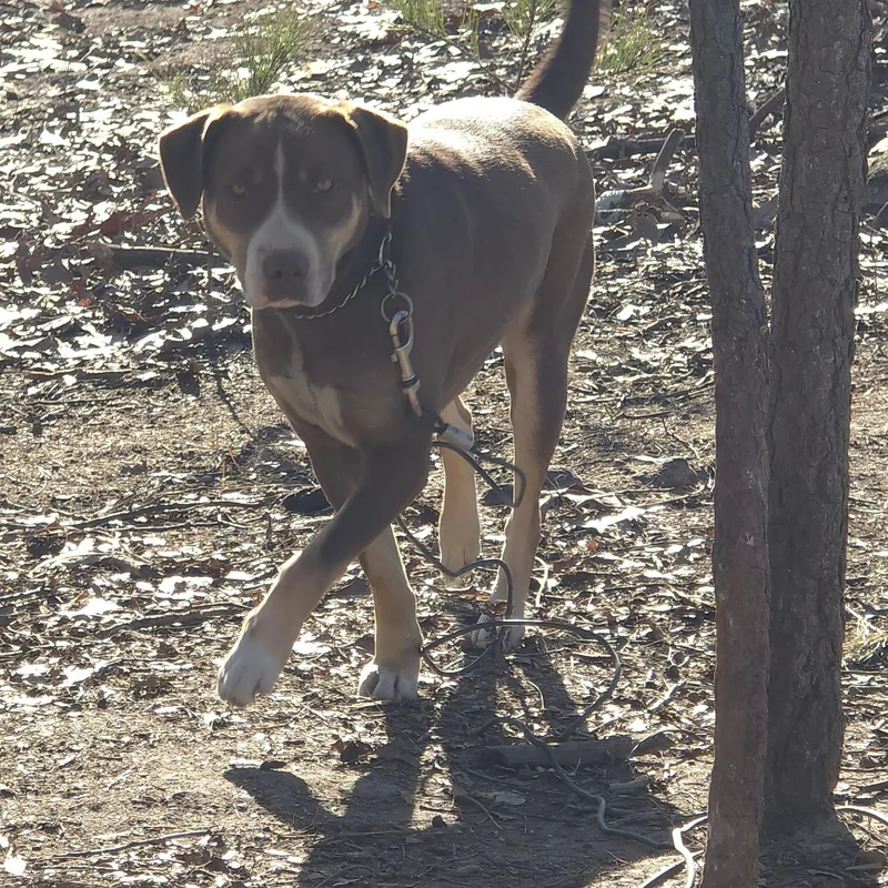 Bobby – A Survivor thumbnail 4