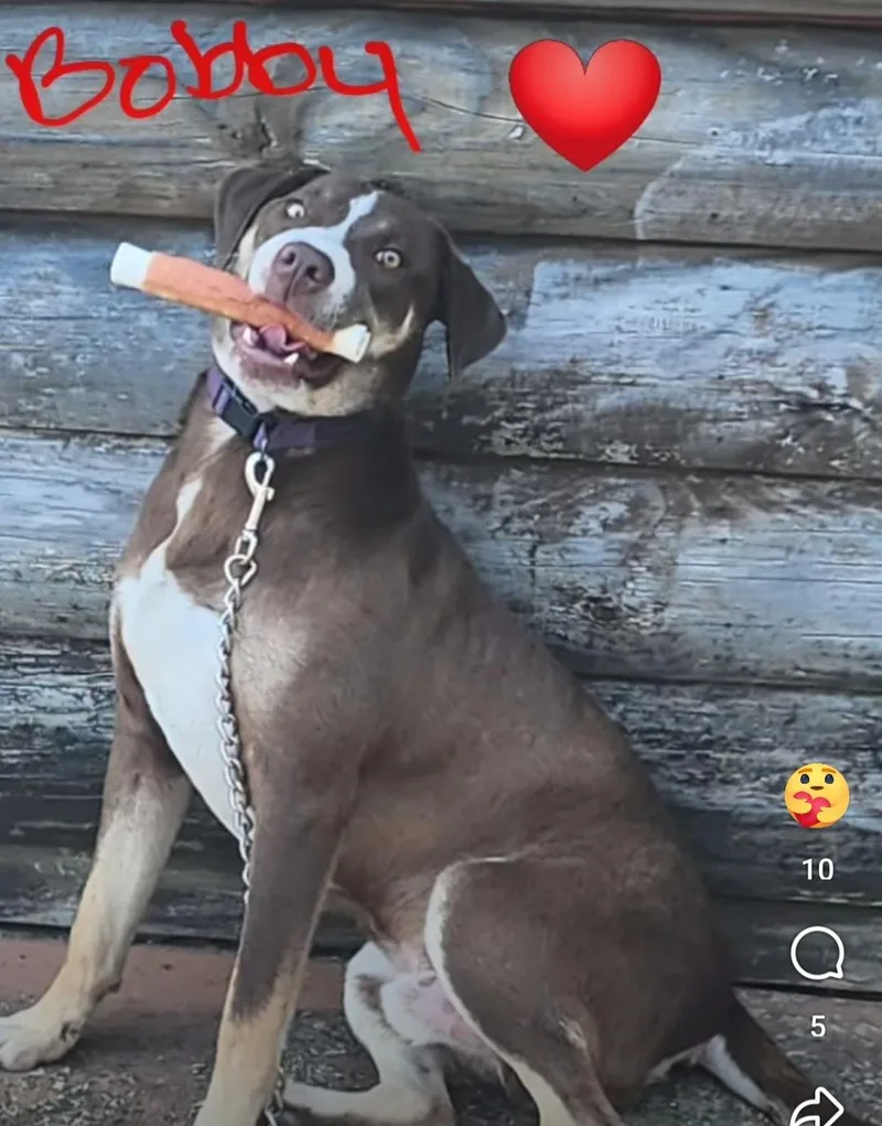 Bobby – A Survivor thumbnail 5