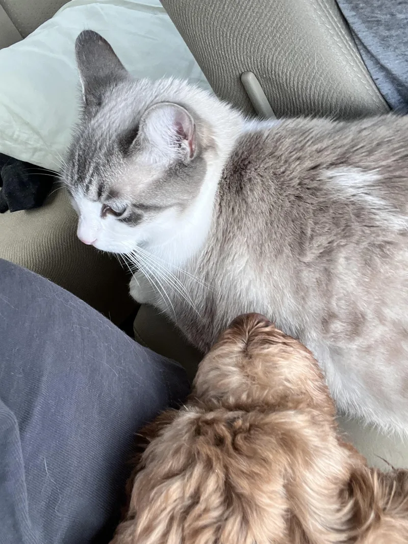 Ellieso Loving! thumbnail 2