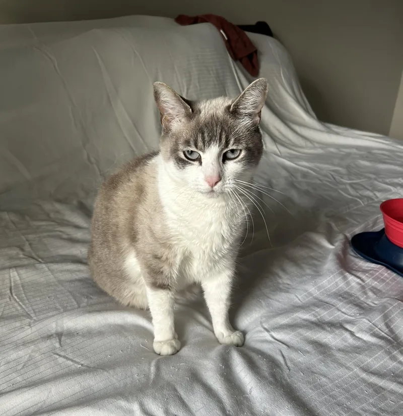 Ellieso Loving! thumbnail 3