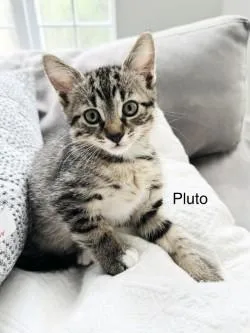 Pluto thumbnail 2