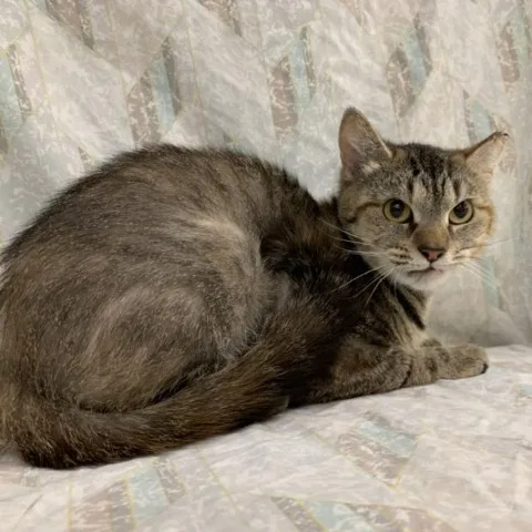 Watercolor thumbnail 2