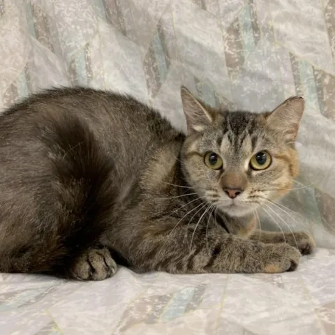 Watercolor thumbnail 3