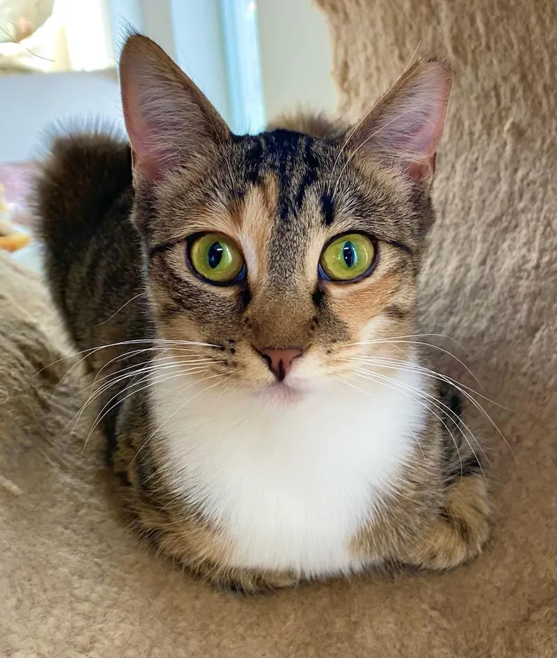 Little Bit thumbnail 2