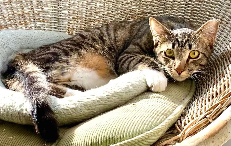 Little Bit thumbnail 3