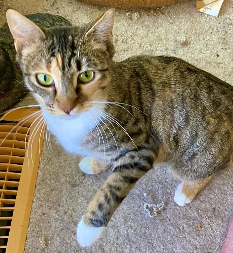 Little Bit thumbnail 4