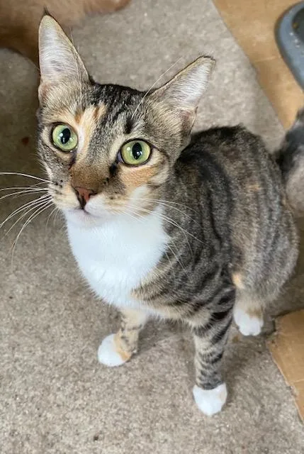 Little Bit thumbnail 5