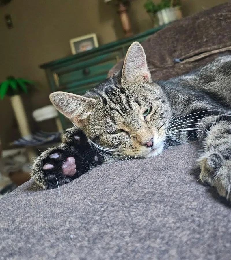 Samantha thumbnail 3