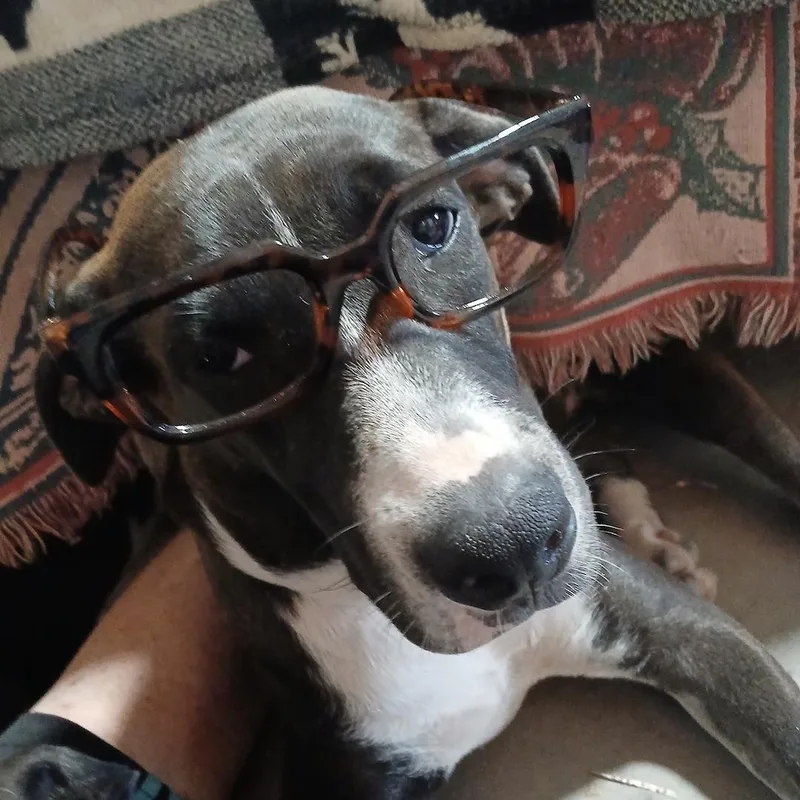 Moonlight thumbnail 2