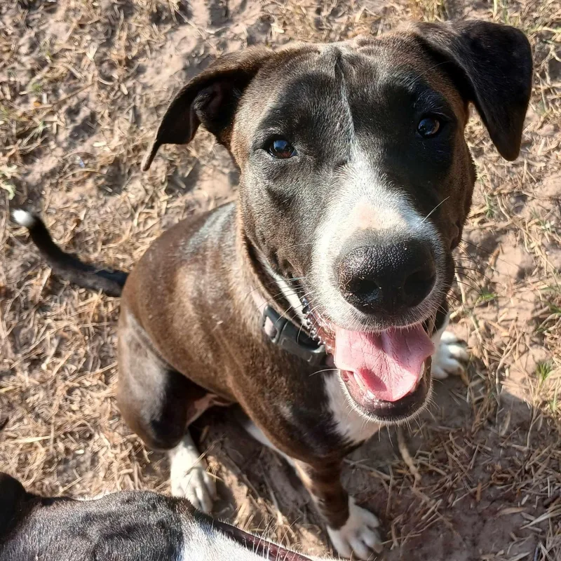 Moonlight thumbnail 5