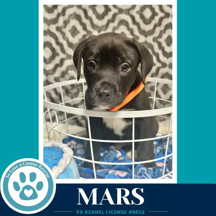 Mars thumbnail 2