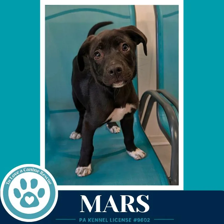 Mars thumbnail 3