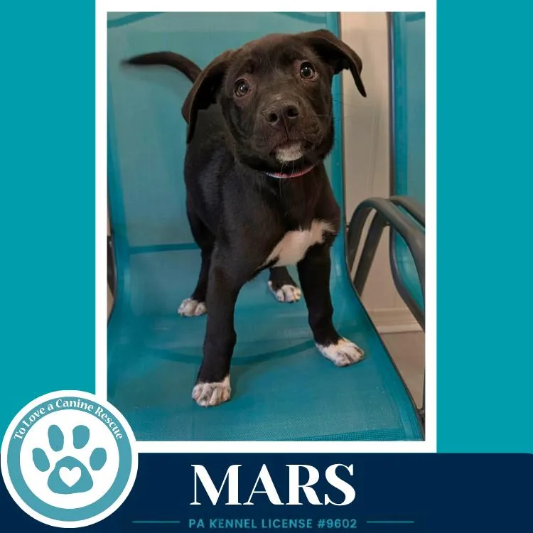 Mars thumbnail 4