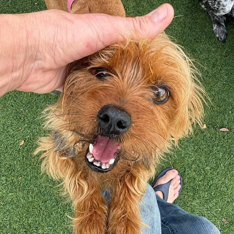 Rafferty D Arriving thumbnail 2