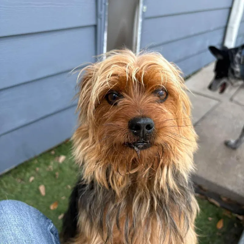 Rafferty D Arriving thumbnail 3