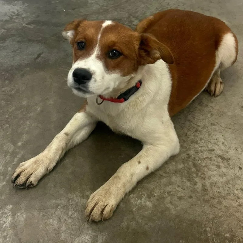Tucker