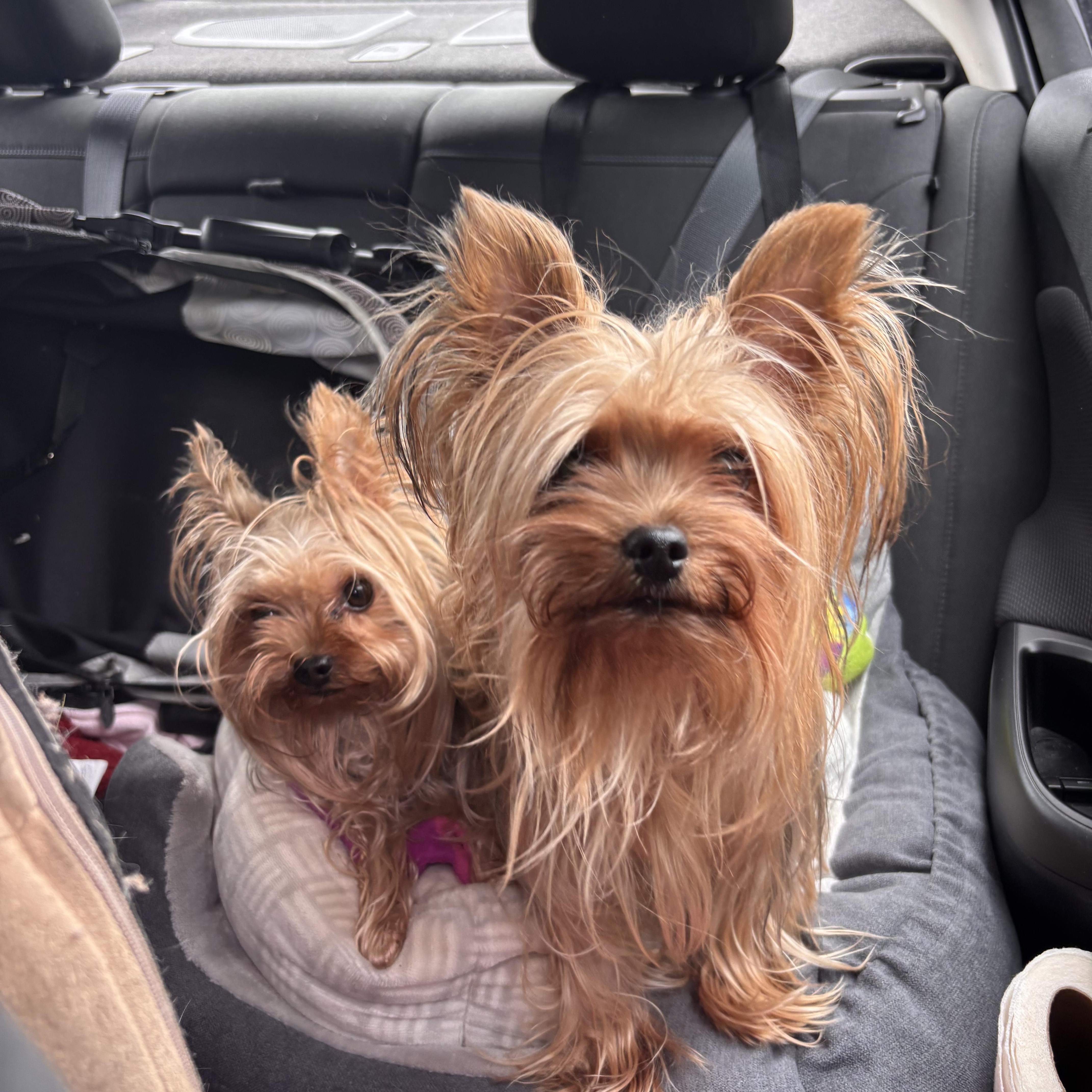 Kay and Rose