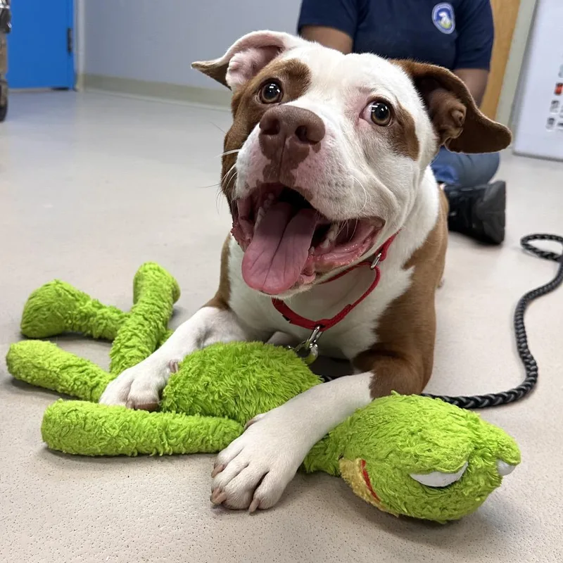 Leon Kennedy thumbnail 3