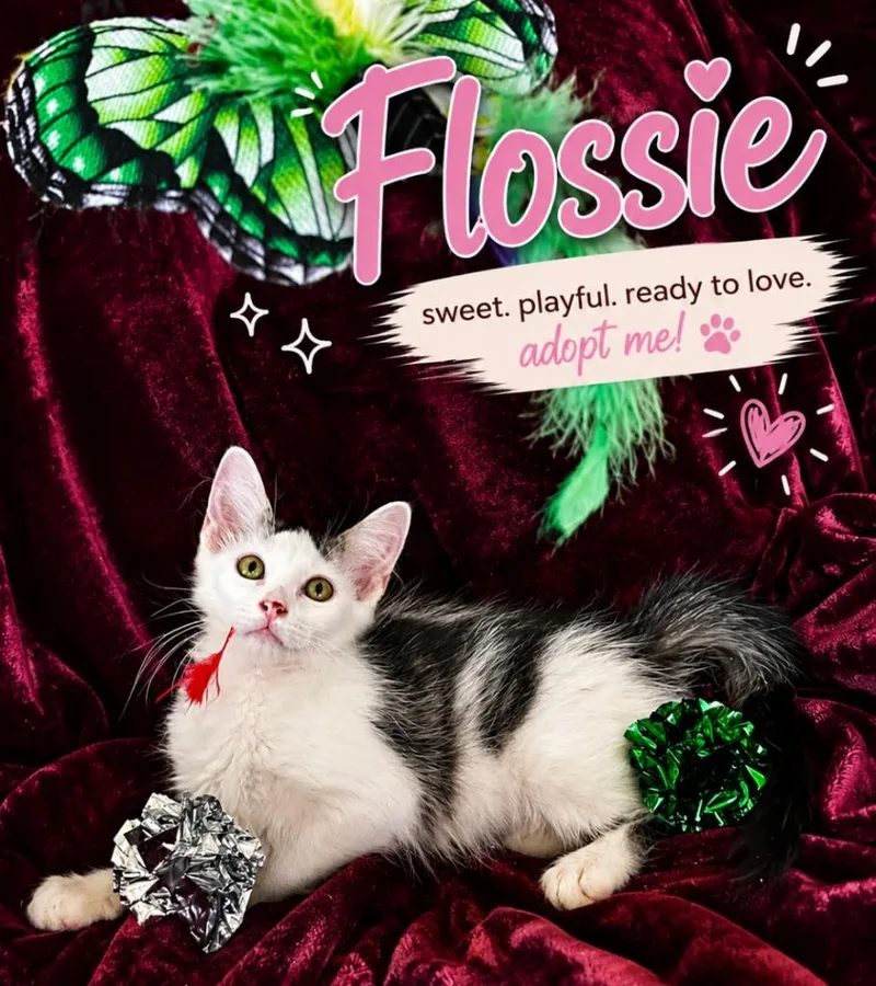 Flossie